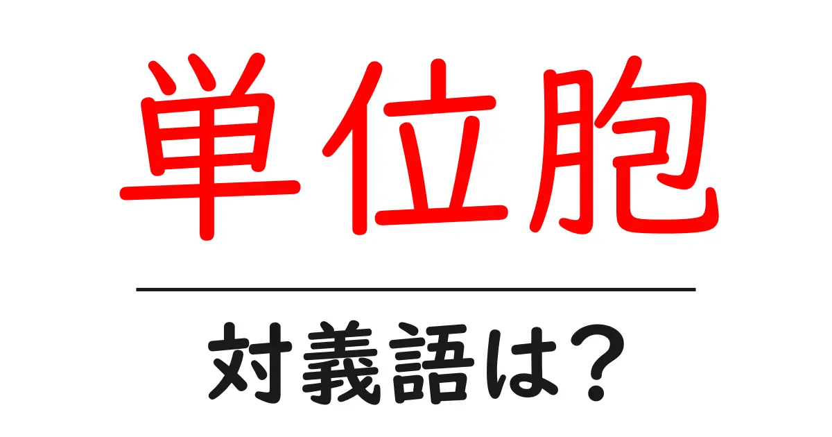 単位胞の対義語・反対語を使用例を交えて分かりやすく解説!