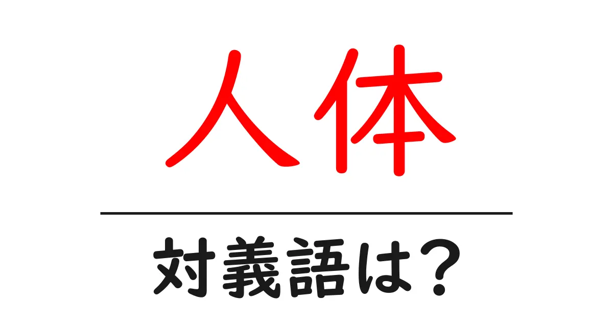 人体の対義語・反対語を使用例を交えて分かりやすく解説!