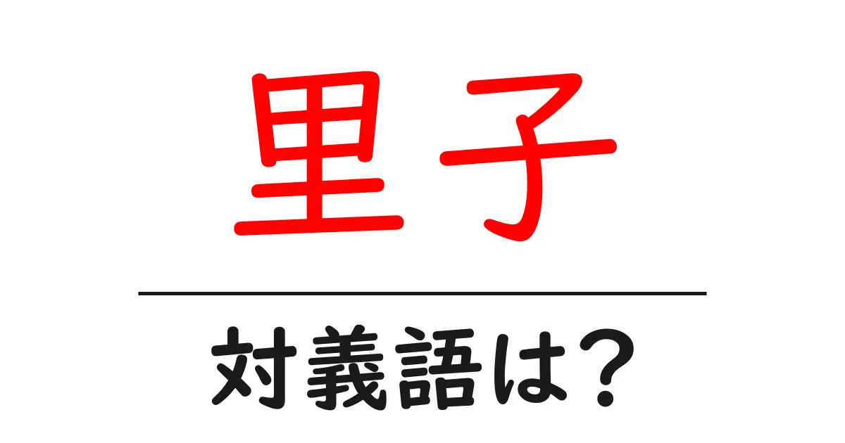 里子の対義語・反対語を使用例を交えて分かりやすく解説!