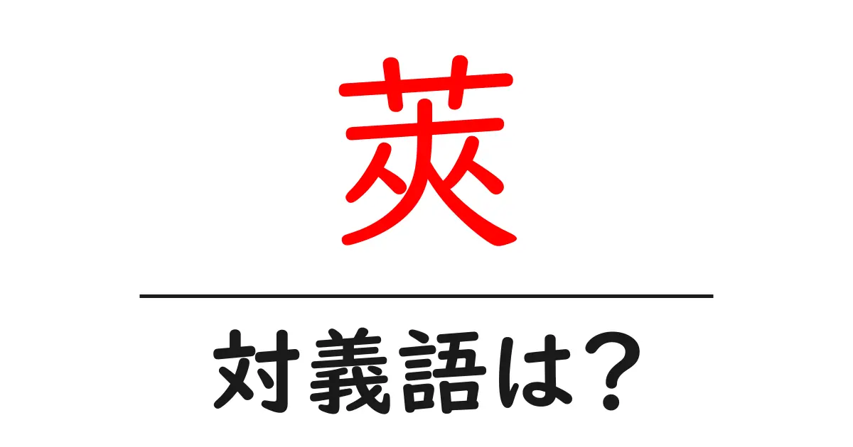 莢の対義語・反対語を使用例を交えて分かりやすく解説!