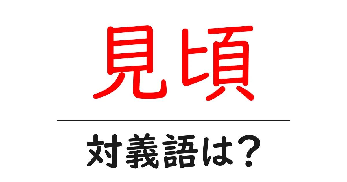 見頃の対義語・反対語を使用例を交えて分かりやすく解説!