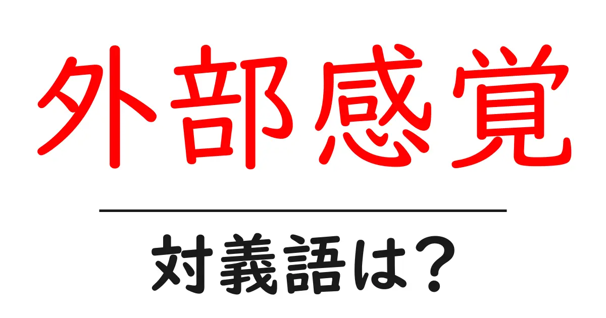 外部感覚の対義語・反対語を使用例を交えて分かりやすく解説!