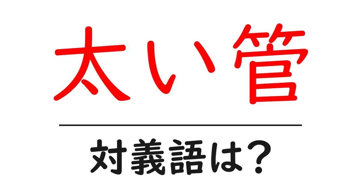 太い管の対義語・反対語を使用例を交えて分かりやすく解説!