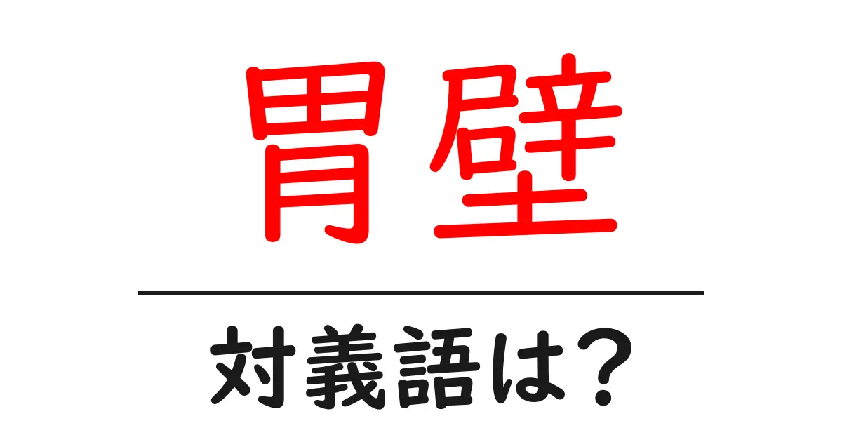胃壁の対義語・反対語を使用例を交えて分かりやすく解説!