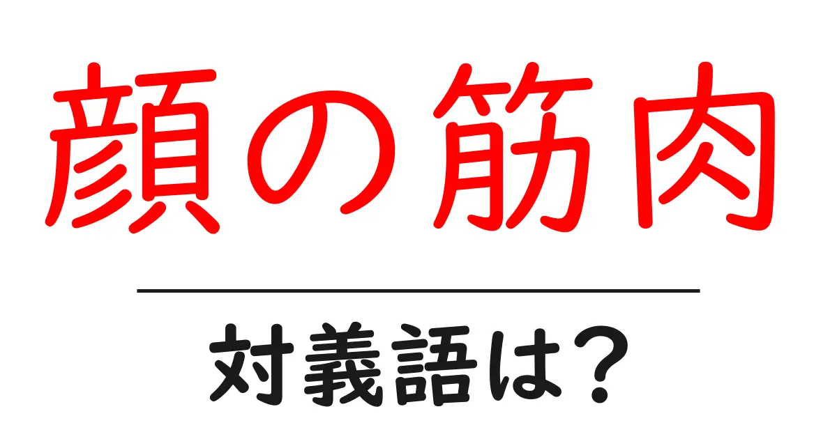 顔の筋肉の対義語・反対語を使用例を交えて分かりやすく解説!