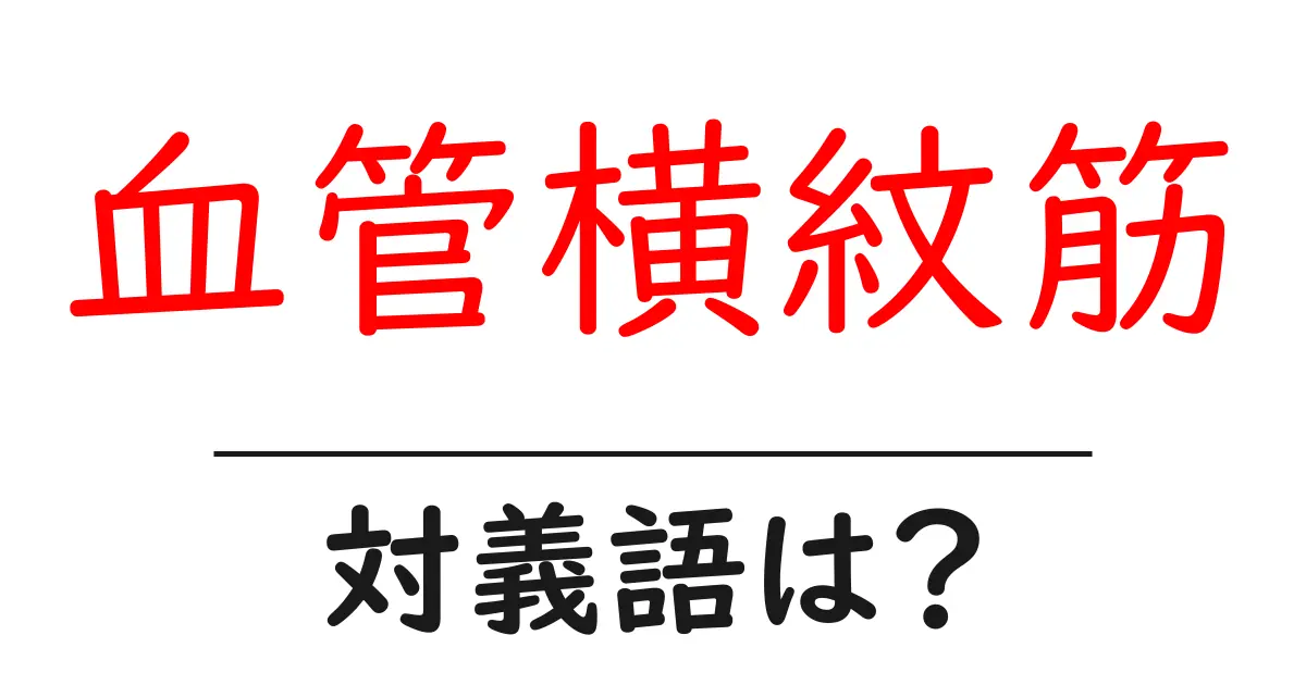 血管横紋筋の対義語・反対語を使用例を交えて分かりやすく解説!