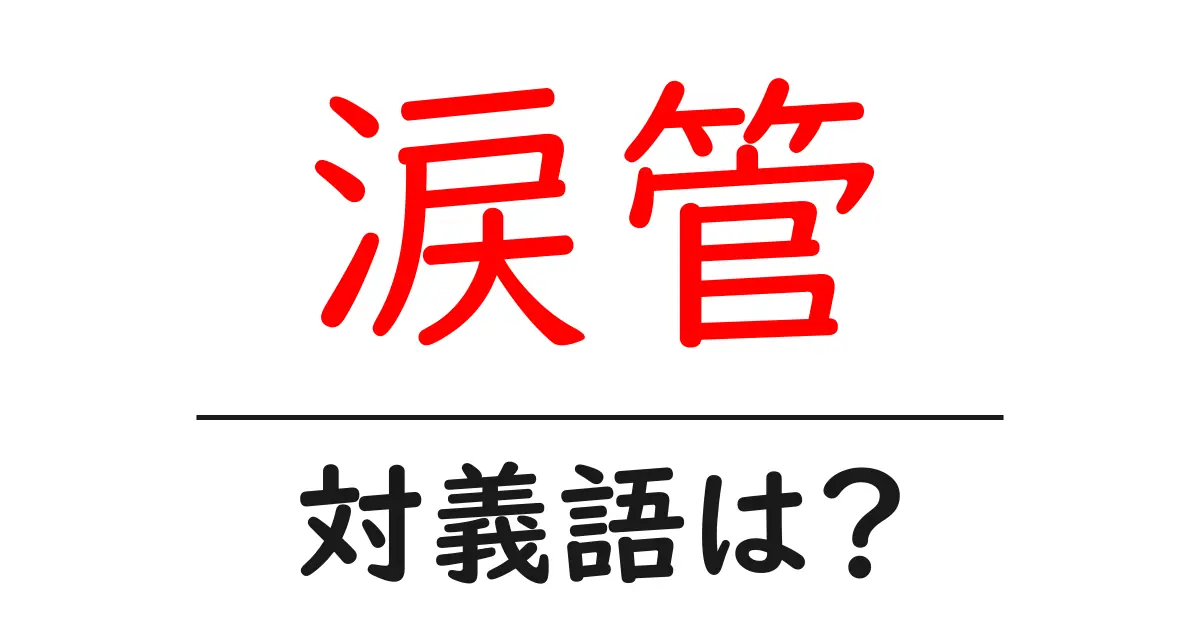 涙管の対義語・反対語を使用例を交えて分かりやすく解説!