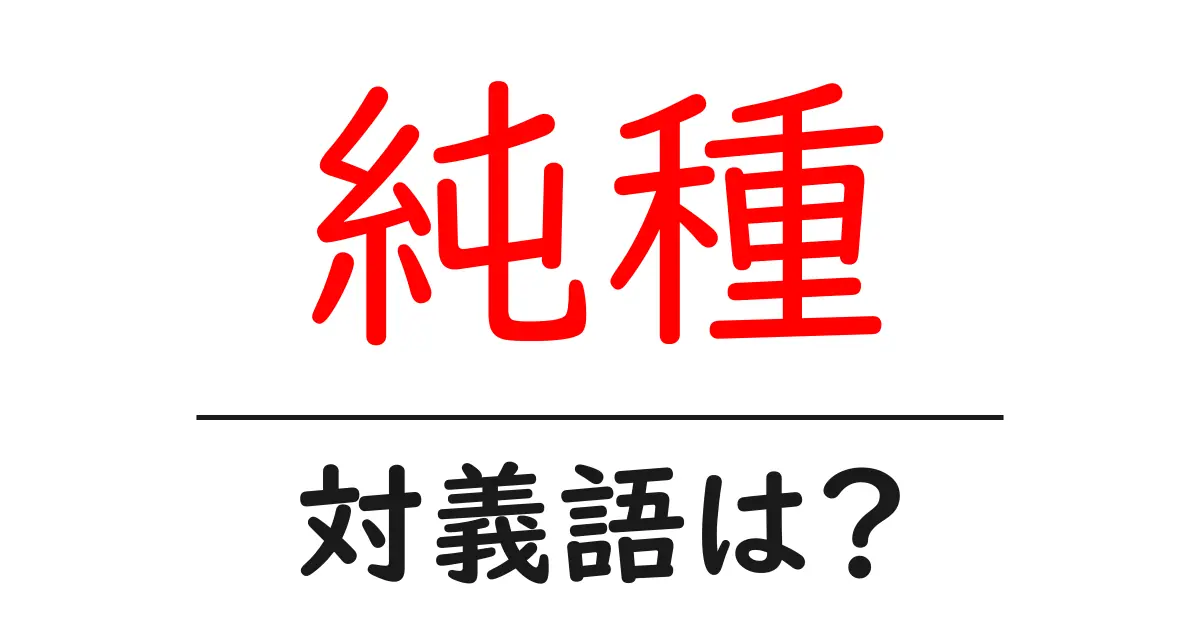 純種の対義語・反対語を使用例を交えて分かりやすく解説！