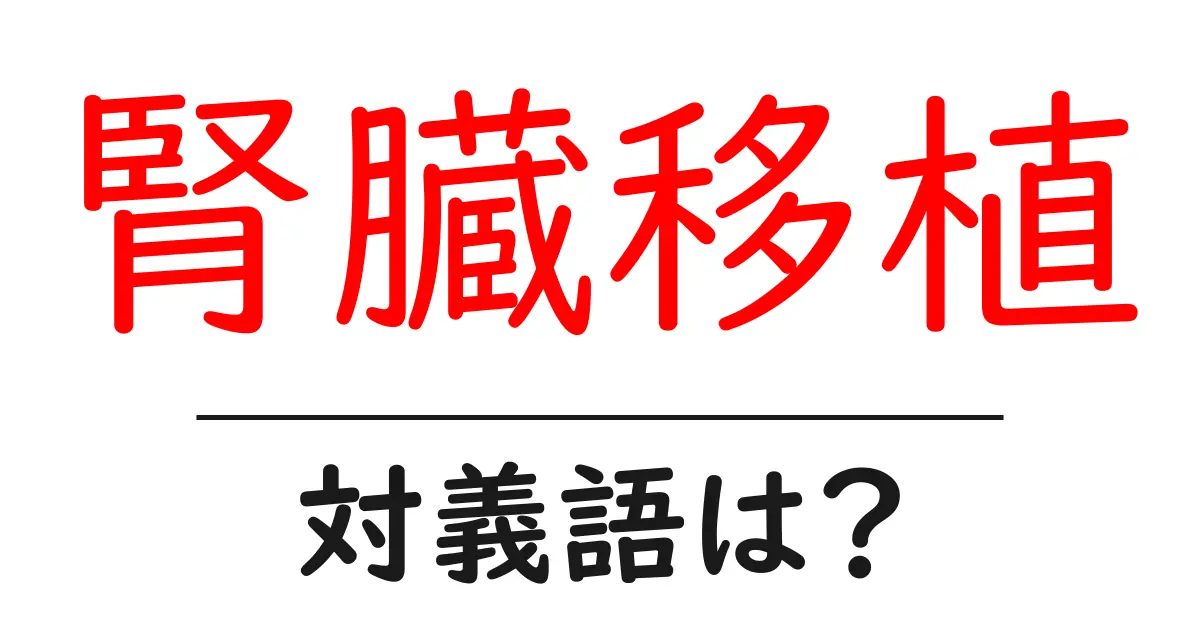 腎臓移植の対義語・反対語を使用例を交えて分かりやすく解説！