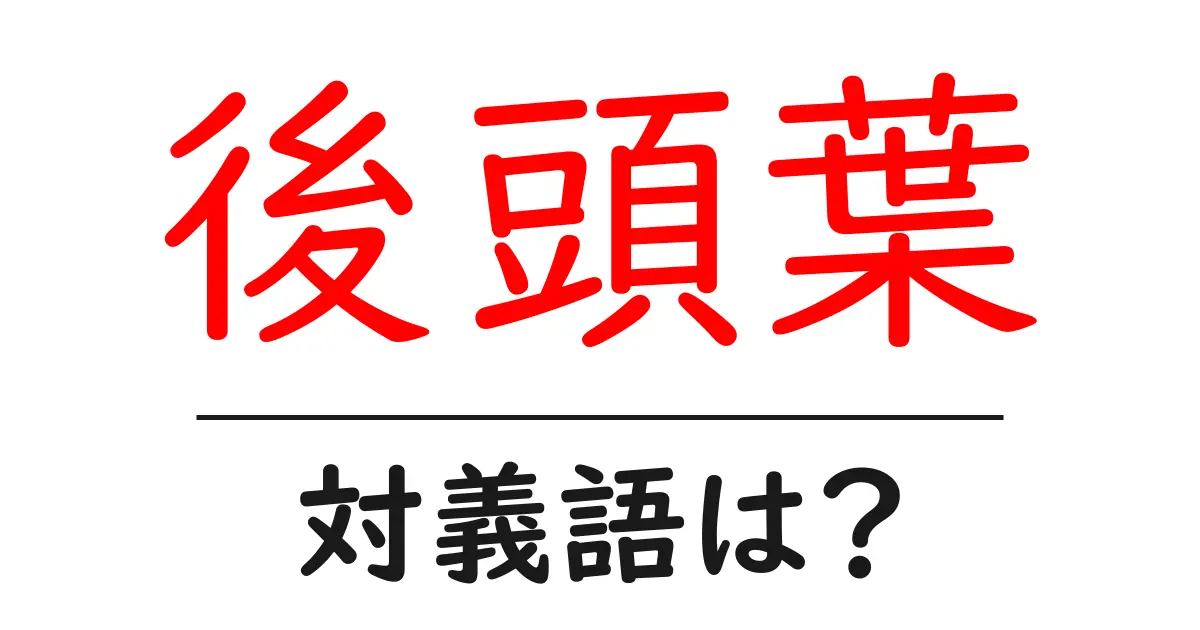 後頭葉の対義語・反対語を使用例を交えて分かりやすく解説!