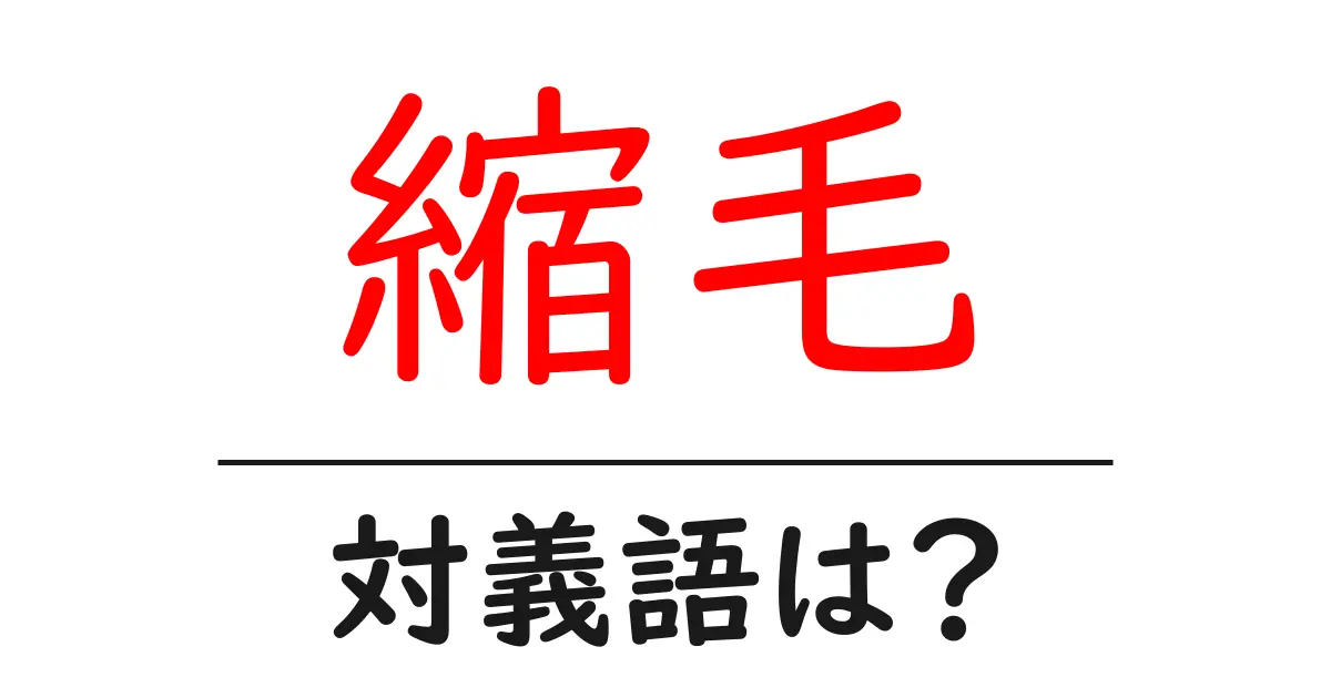 縮毛の対義語・反対語を使用例を交えて分かりやすく解説!