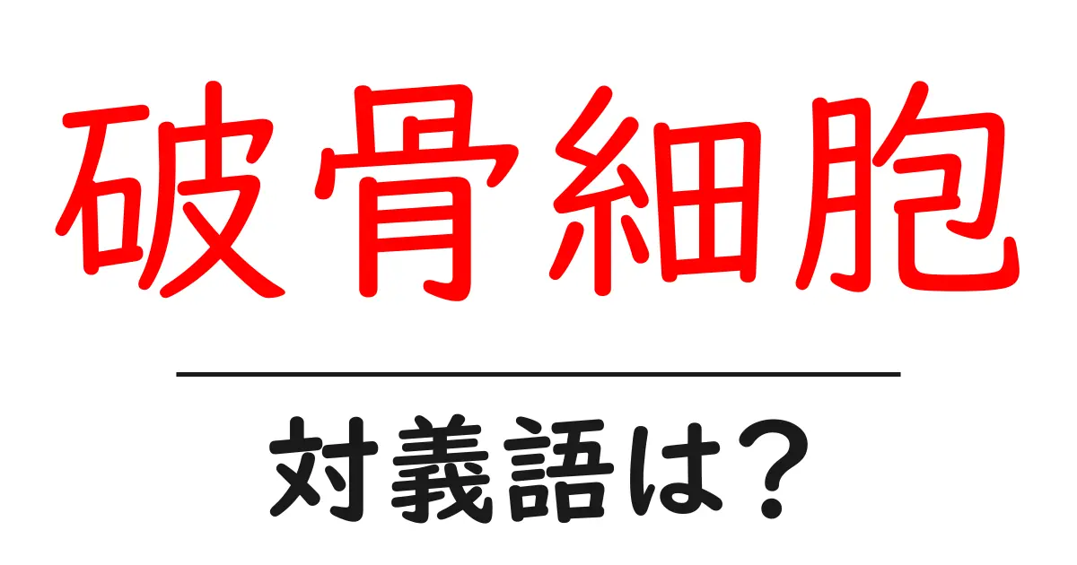 破骨細胞の対義語・反対語を使用例を交えて分かりやすく解説!