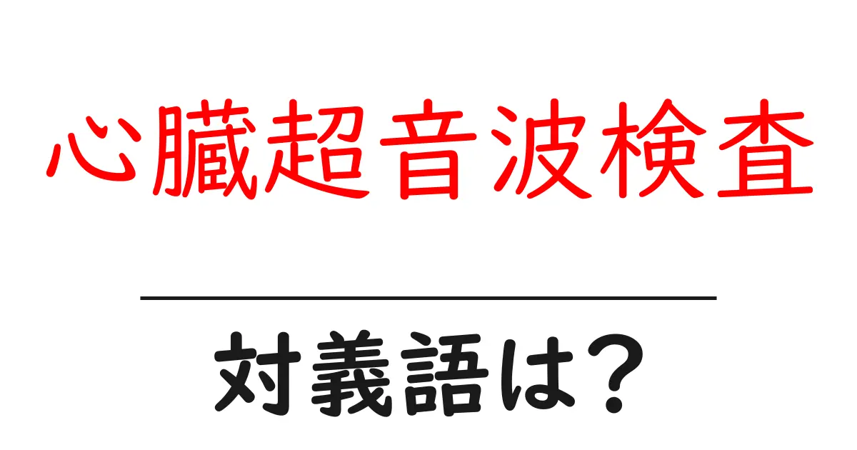 心臓超音波検査の対義語・反対語を使用例を交えて分かりやすく解説!