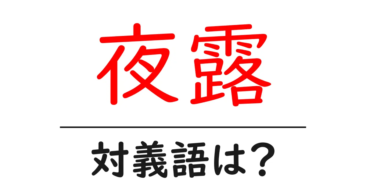 夜露の対義語・反対語を使用例を交えて分かりやすく解説!