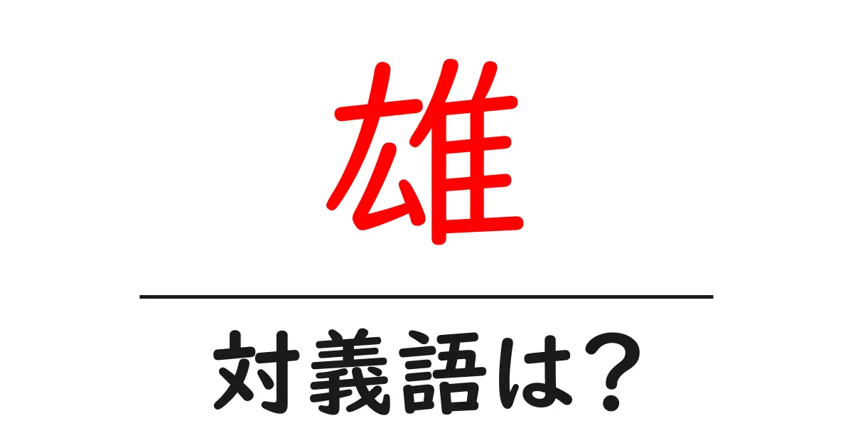 雄の対義語・反対語を使用例を交えて分かりやすく解説!