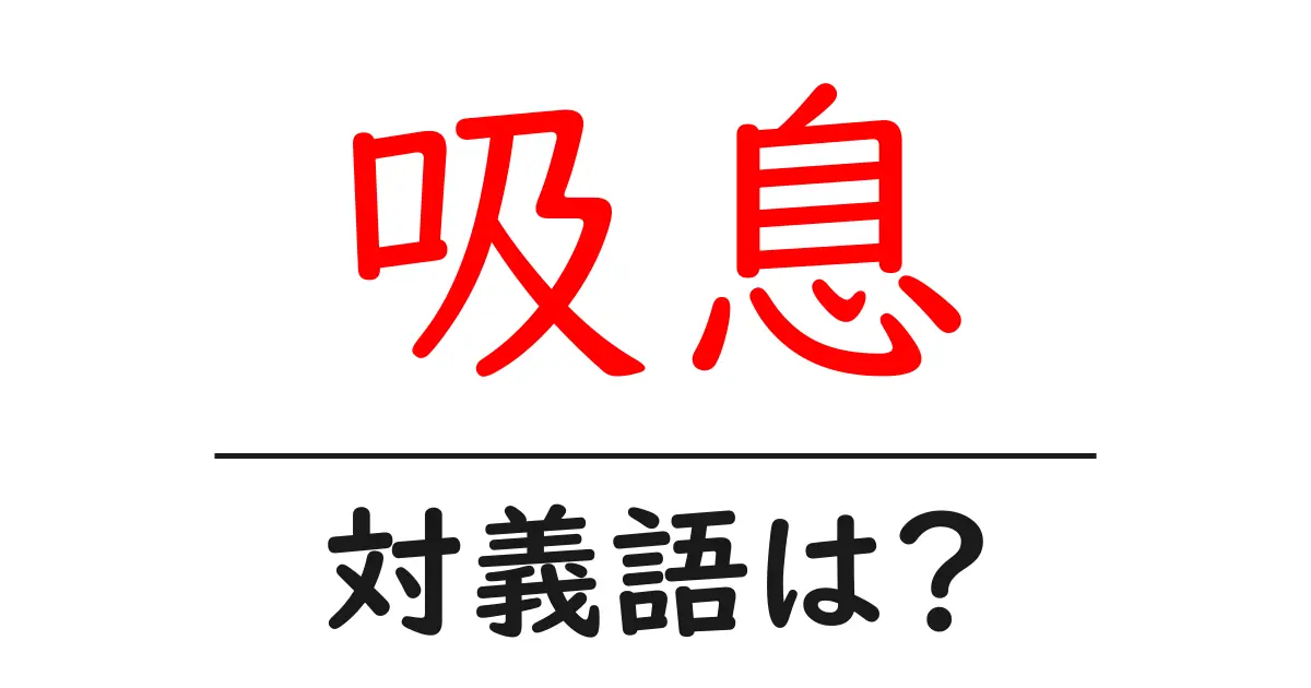 吸息の対義語・反対語を使用例を交えて分かりやすく解説!