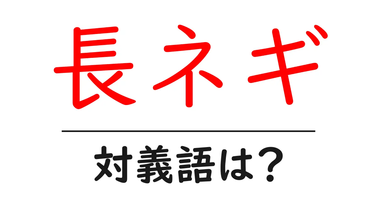 長ネギの対義語・反対語を使用例を交えて分かりやすく解説!