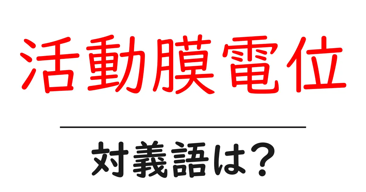活動膜電位の対義語・反対語を使用例を交えて分かりやすく解説!