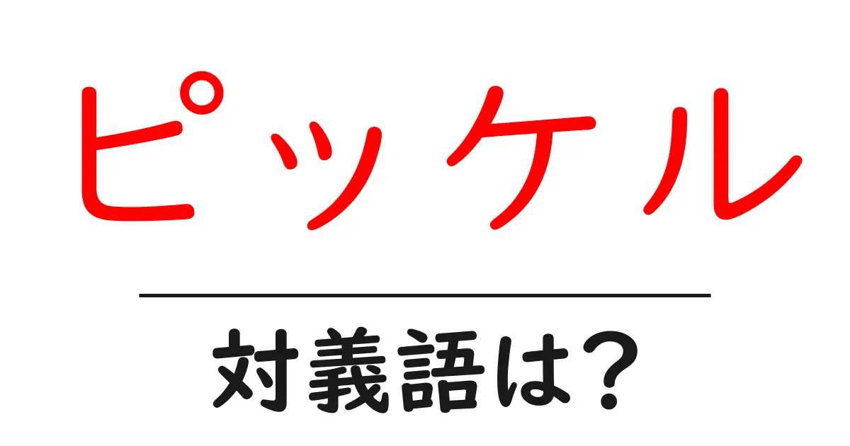 ピッケルの対義語・反対語を使用例を交えて分かりやすく解説！