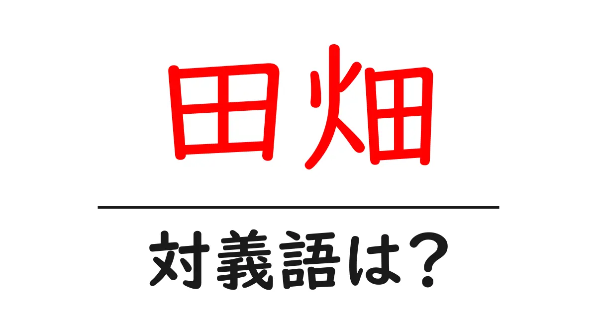 田畑の対義語・反対語を使用例を交えて分かりやすく解説!