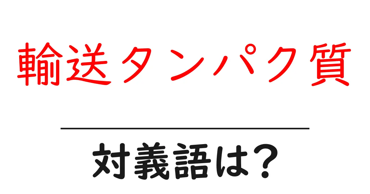 輸送タンパク質の対義語・反対語を使用例を交えて分かりやすく解説!