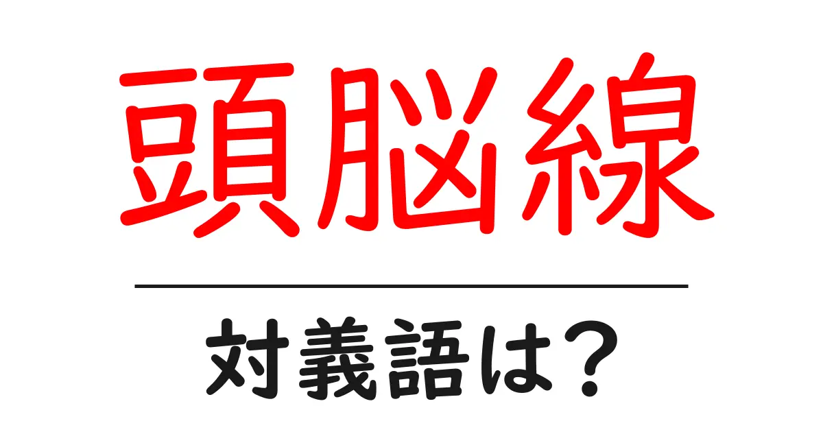 頭脳線の対義語・反対語を使用例を交えて分かりやすく解説！