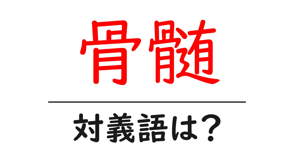 骨髄の対義語・反対語を使用例を交えて分かりやすく解説!