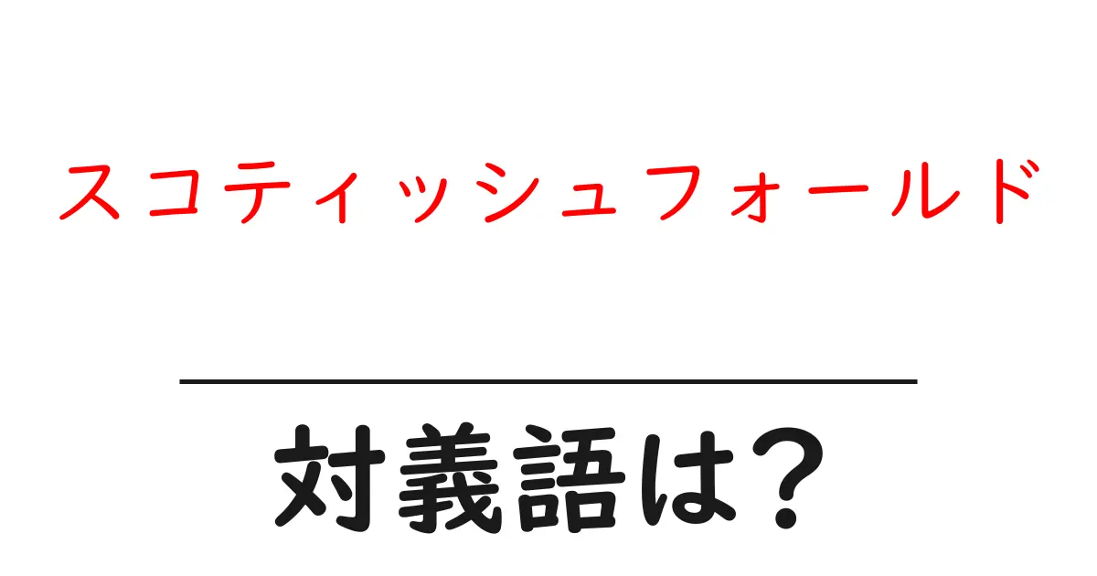 スコティッシュフォールドの対義語・反対語を使用例を交えて分かりやすく解説!