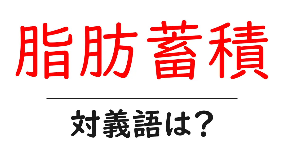 脂肪蓄積の対義語・反対語を使用例を交えて分かりやすく解説!