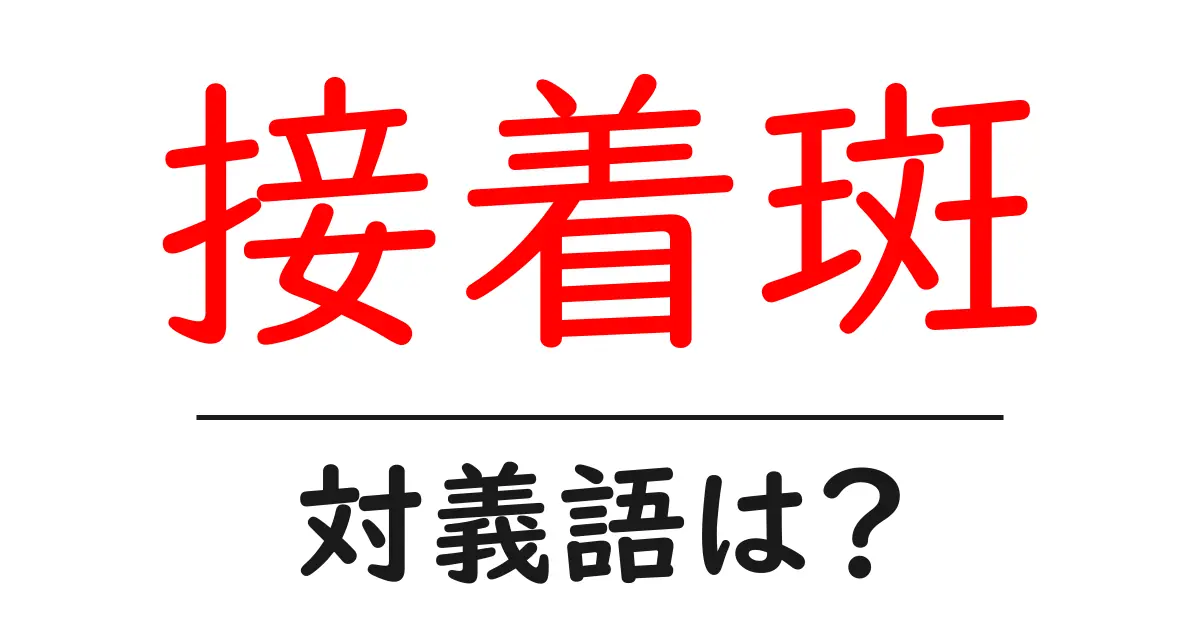 接着斑の対義語・反対語を使用例を交えて分かりやすく解説!