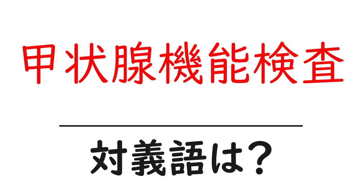 甲状腺機能検査の対義語・反対語を使用例を交えて分かりやすく解説！
