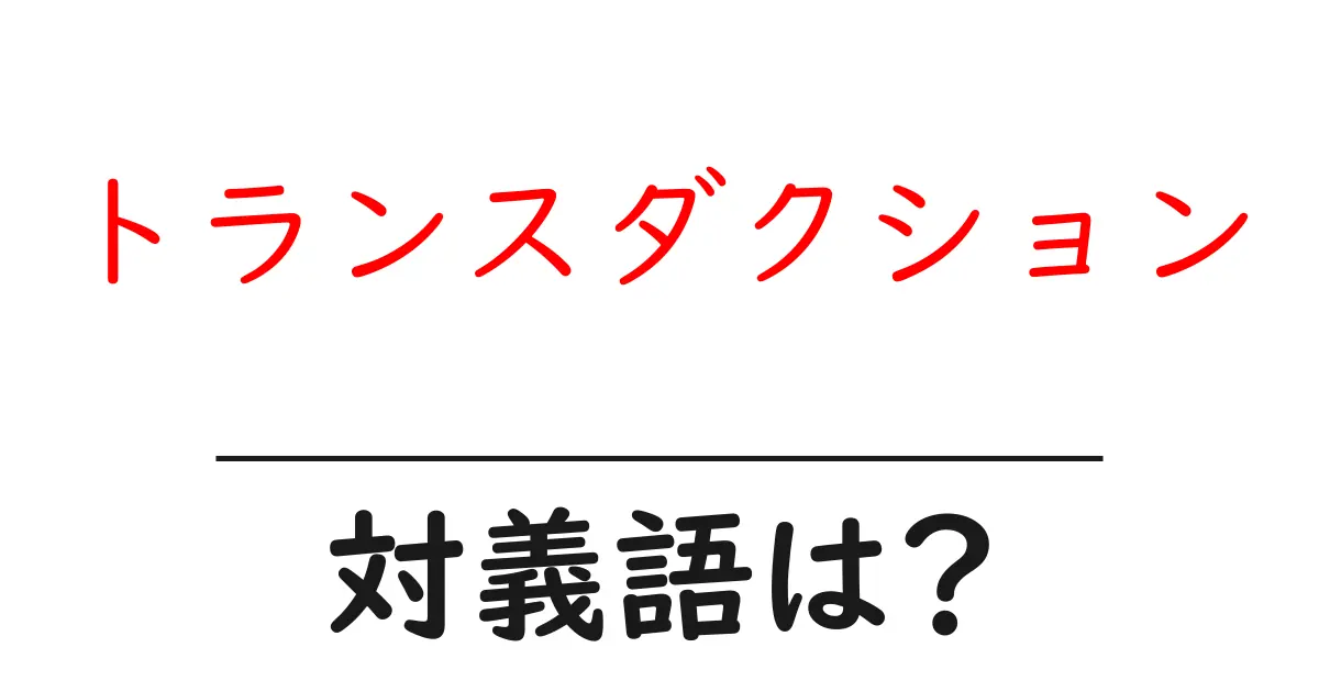 トランスダクションの対義語・反対語を使用例を交えて分かりやすく解説！