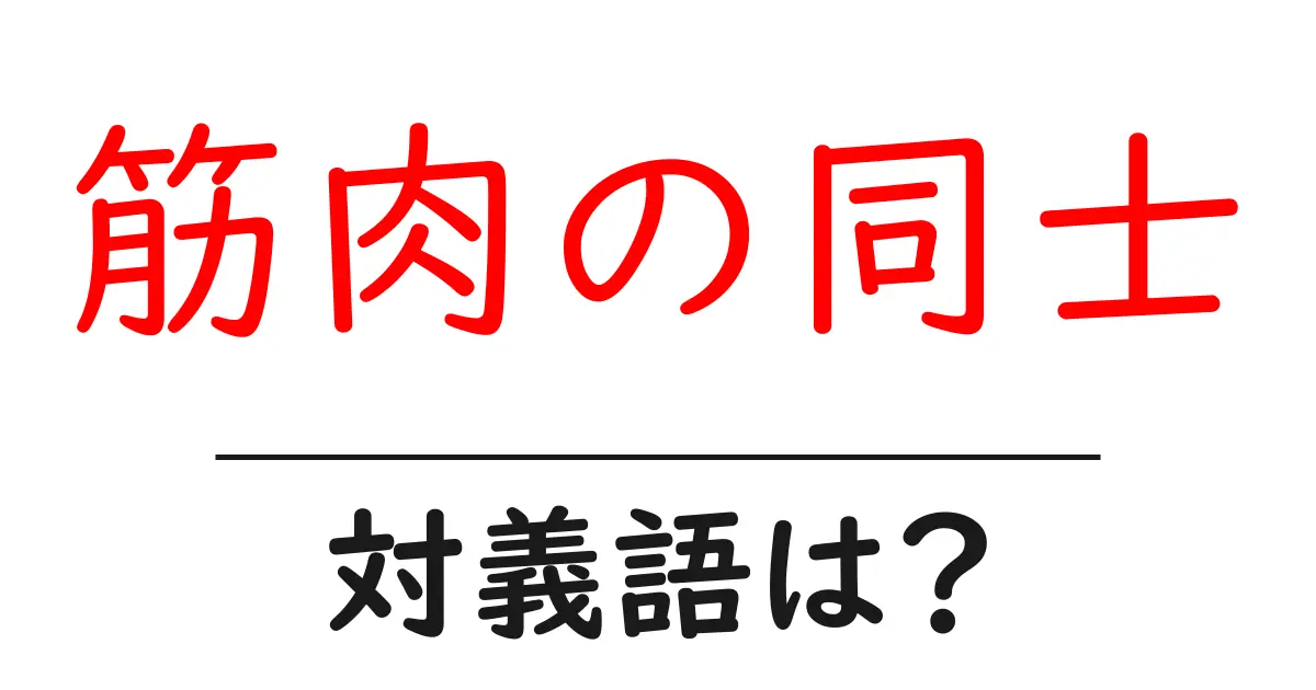 筋肉の同士の対義語・反対語を使用例を交えて分かりやすく解説！