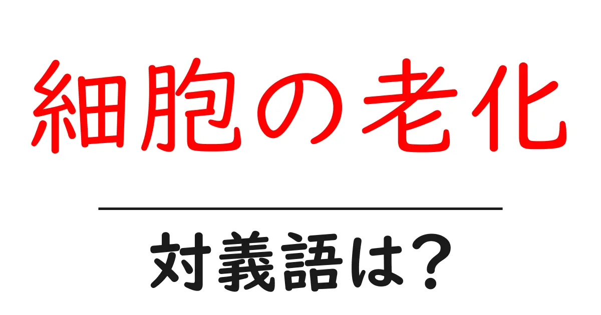 細胞の老化の対義語・反対語を使用例を交えて分かりやすく解説!