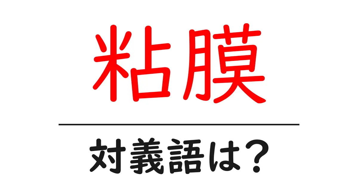粘膜の対義語・反対語を使用例を交えて分かりやすく解説!