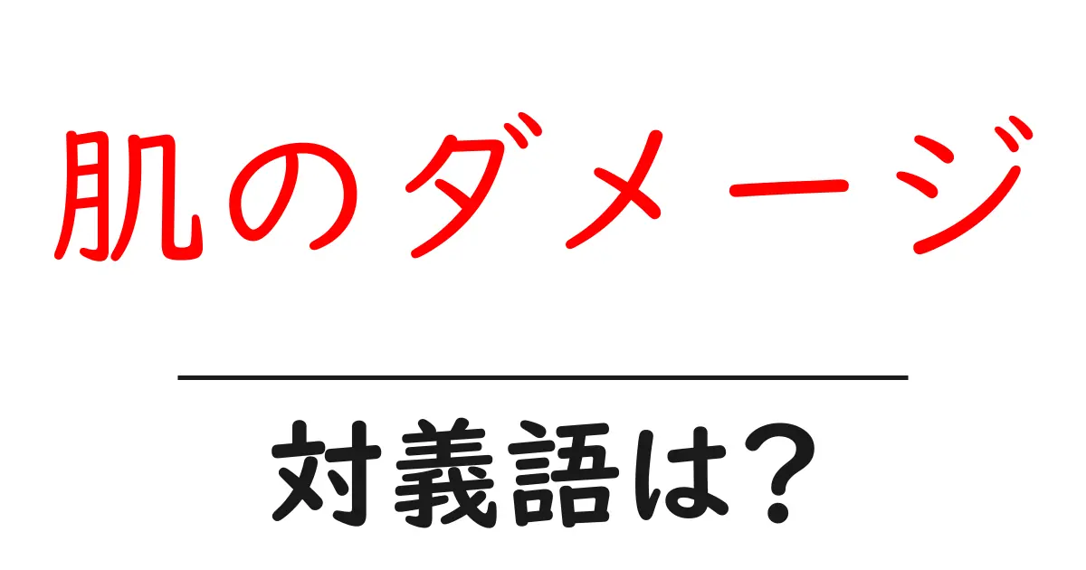 肌のダメージの対義語・反対語を使用例を交えて分かりやすく解説!