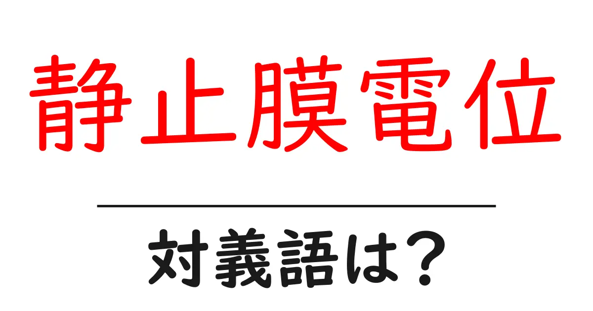 静止膜電位の対義語・反対語を使用例を交えて分かりやすく解説!