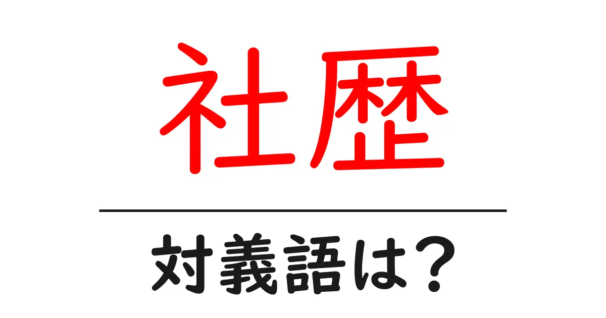 社歴の対義語・反対語を使用例を交えて分かりやすく解説！
