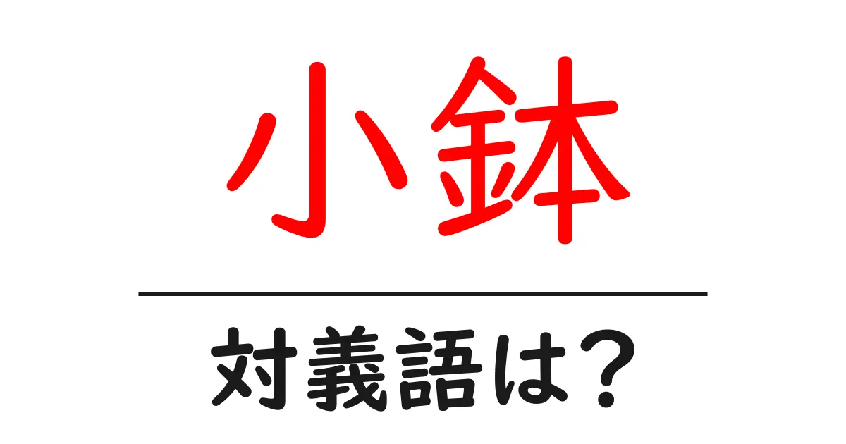 小鉢の対義語・反対語を使用例を交えて分かりやすく解説!