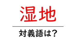 湿地の対義語・反対語を使用例を交えて分かりやすく解説！