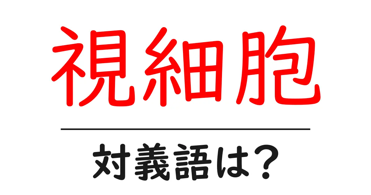 視細胞の対義語・反対語を使用例を交えて分かりやすく解説!