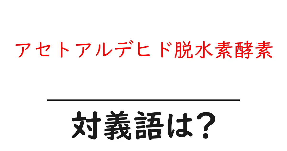 アセトアルデヒド脱水素酵素の対義語・反対語を使用例を交えて分かりやすく解説！