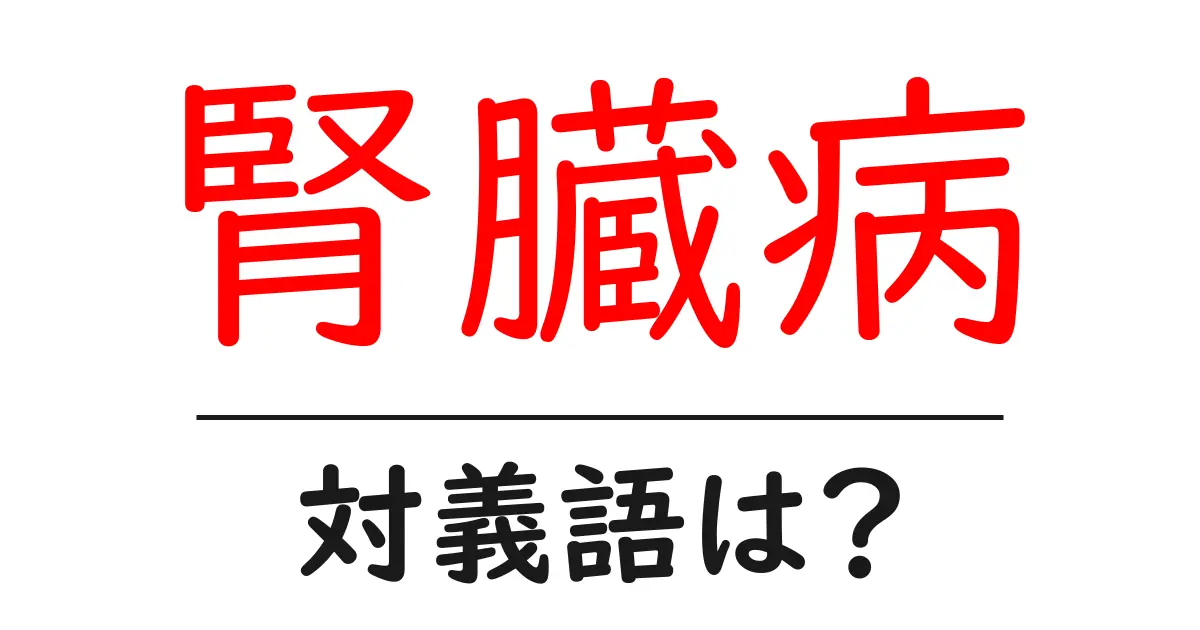 腎臓病の対義語・反対語を使用例を交えて分かりやすく解説!