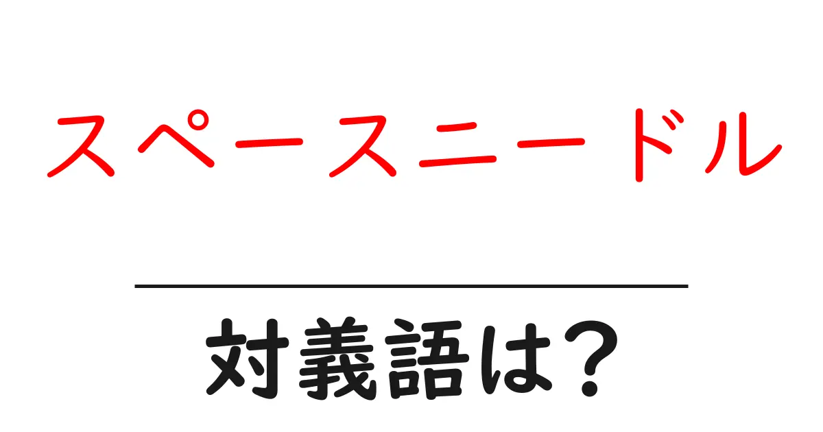 スペースニードルの対義語・反対語を使用例を交えて分かりやすく解説！