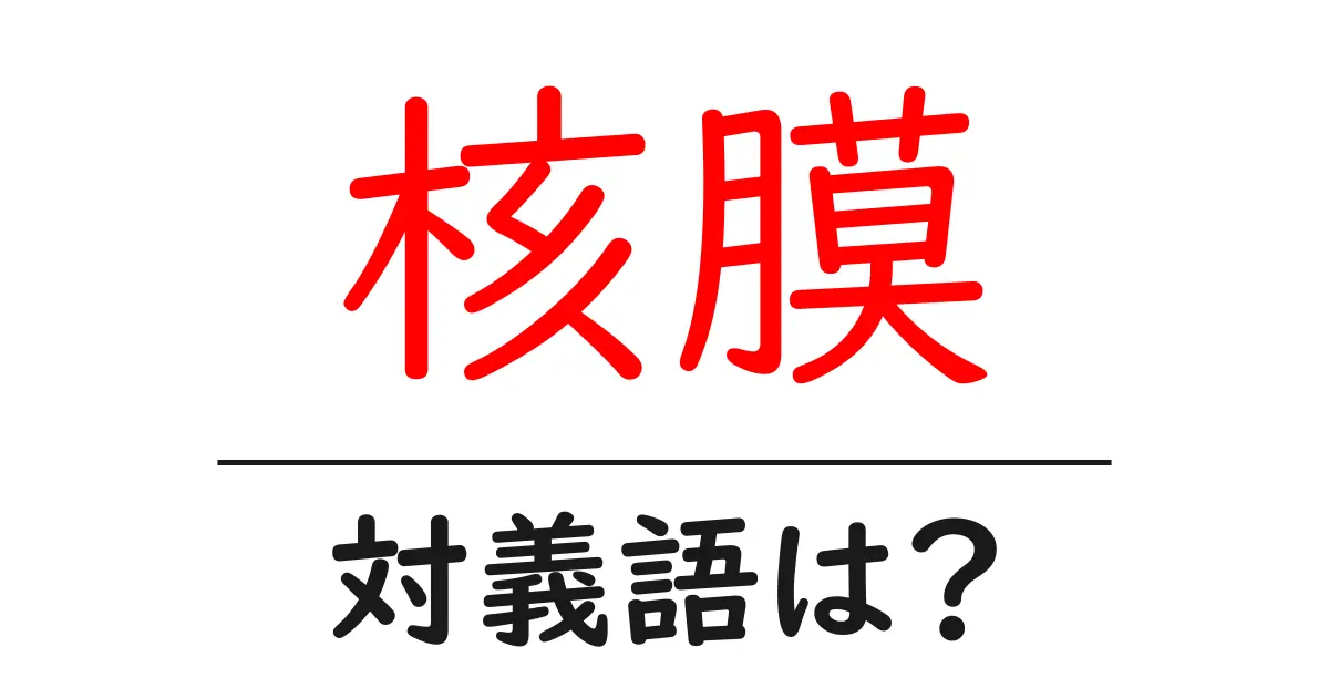 核膜の対義語・反対語を使用例を交えて分かりやすく解説!