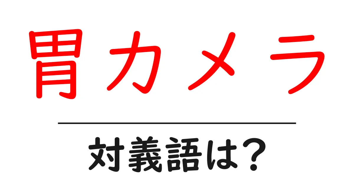 胃カメラの対義語・反対語を使用例を交えて分かりやすく解説!