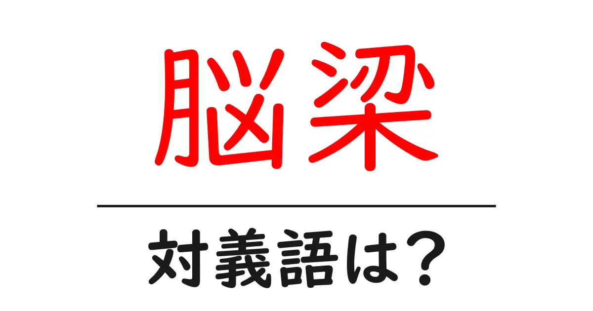 脳梁の対義語・反対語を使用例を交えて分かりやすく解説!