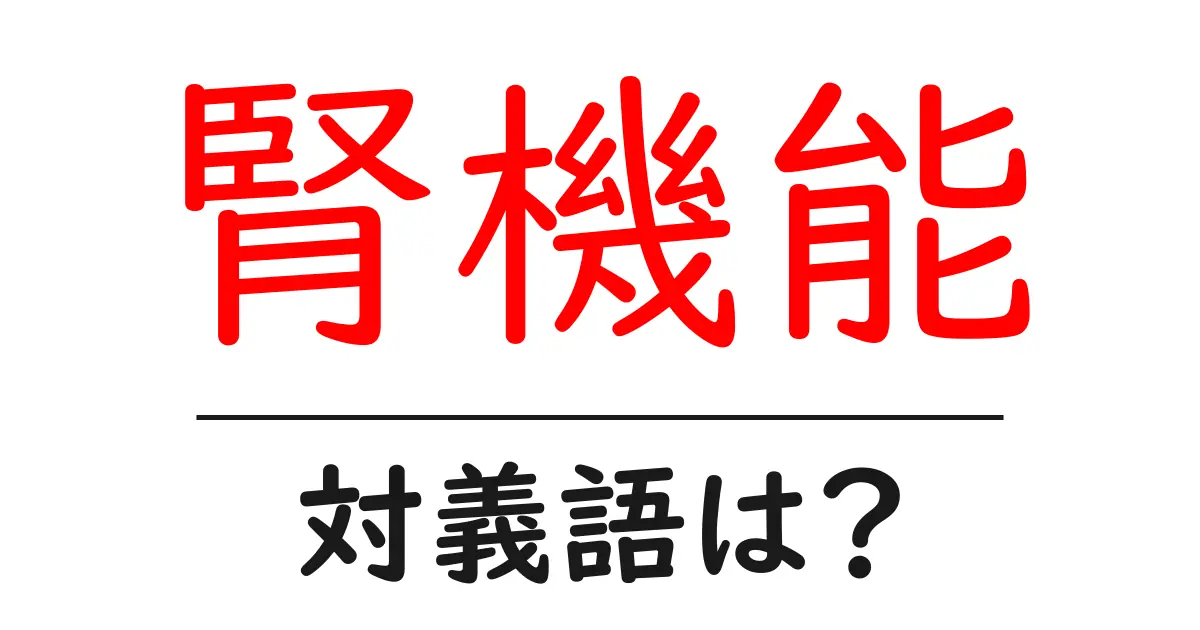 腎機能の対義語・反対語を使用例を交えて分かりやすく解説！