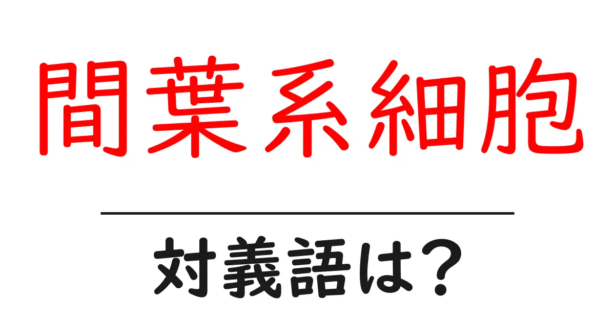 間葉系細胞の対義語・反対語を使用例を交えて分かりやすく解説！