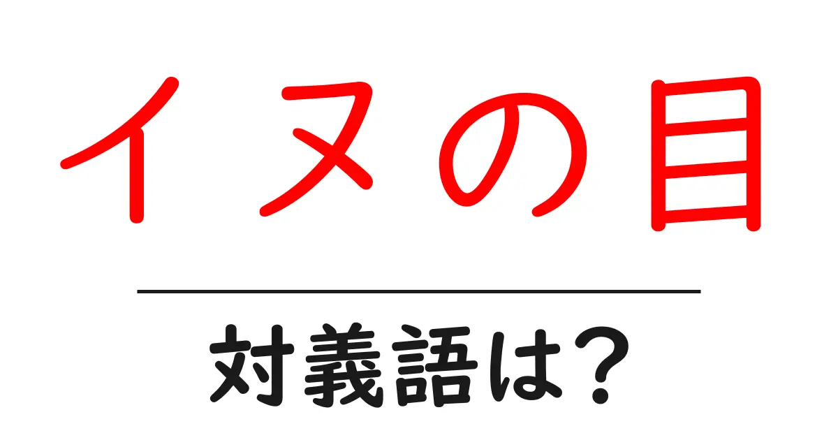 イヌの目の対義語・反対語を使用例を交えて分かりやすく解説！